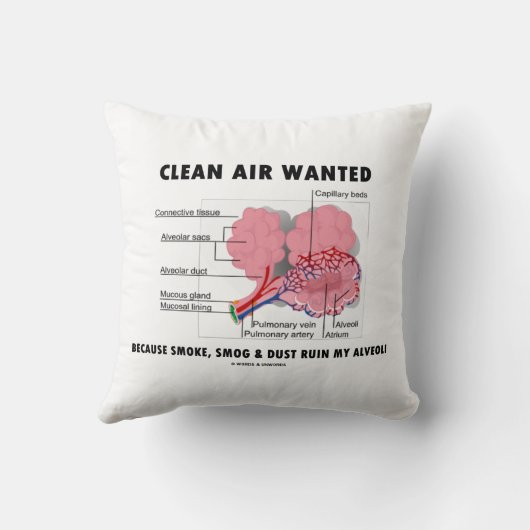煙が肺胞のユーモアを台無しにするので、きれいな空気が求められた クッション (裏面)