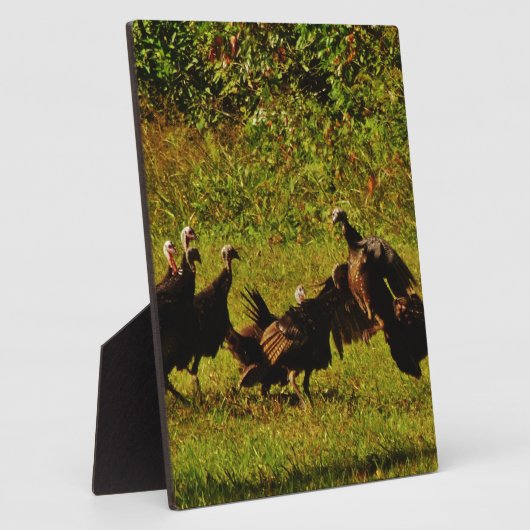 煙たい山々で野生の七面鳥と戦う フォトプラーク (側面)