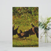 煙たい山々で野生の七面鳥と戦う 便箋 (スタンド正面)