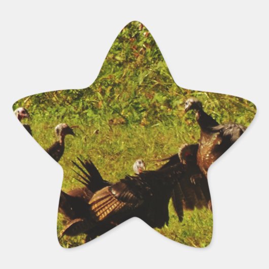 煙たい山々で野生の七面鳥と戦う 星シール (正面)