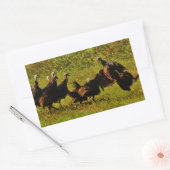 煙たい山々で野生の七面鳥と戦う 長方形シール (封筒)