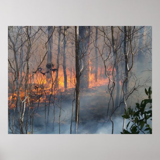 煙を燃やす ポスター (正面)