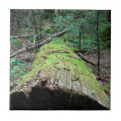 煙山 タイル (正面)