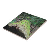 煙山 タイル (側面)