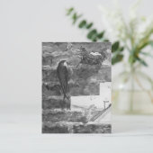 煙突スイフトと巣 ポストカード (スタンド正面)