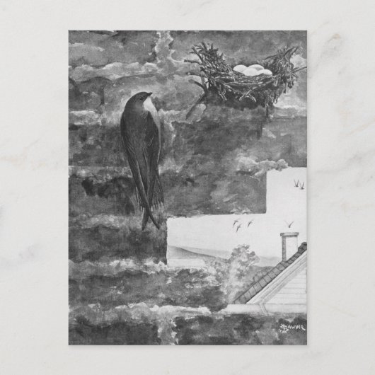 煙突スイフトと巣 ポストカード (正面)