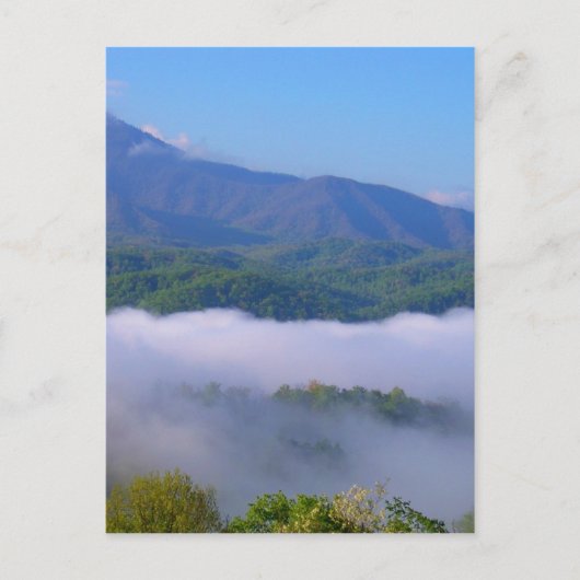 煙 ポストカード (正面)