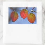 照カラフル明紅葉トリオ 長方形シール (バッグ)