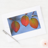 照カラフル明紅葉トリオ 長方形シール (封筒)