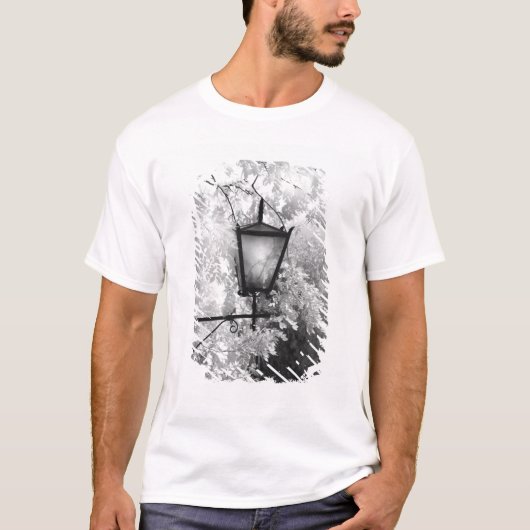 照明のモノクロビュー Tシャツ (正面)
