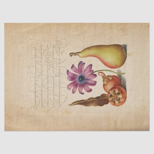 照明付き書道ティッシュペーパー 薄葉紙 (正面)