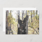 照明付き3枚 (正面/裏面)