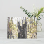 照明付き3枚 (スタンド正面)