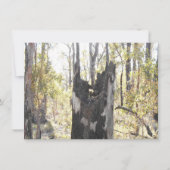 照明付き3枚 (正面)