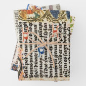 照明原稿のラッピング紙 ラッピングペーパーシート (インサイチュ)