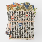 照明原稿のラッピング紙 ラッピングペーパーシート (インサイチュ)