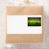 照明用オーロラ ラベル (インサイチュ)