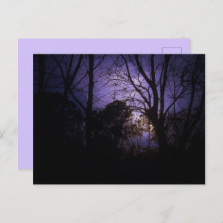 照明葉書 ポストカード