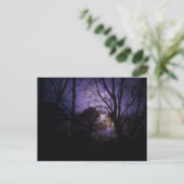 照明葉書 ポストカード (スタンド正面)