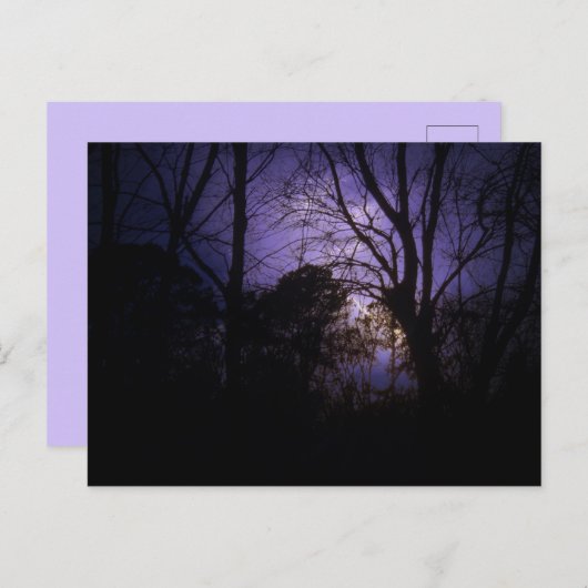 照明葉書 ポストカード (正面/裏面)