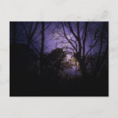 照明葉書 ポストカード (正面)