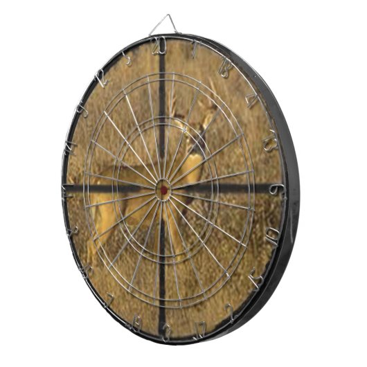 照準 ダーツボード (正面右)