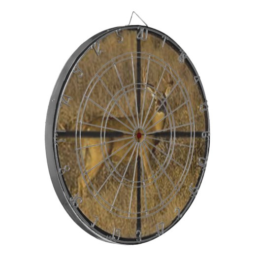 照準 ダーツボード (正面左)