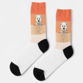 熊が壁を見下ろす、ロウソクの炎 ソックス (左)