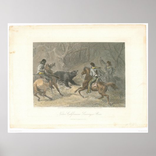 熊の略奪(1178A) ポスター (正面)