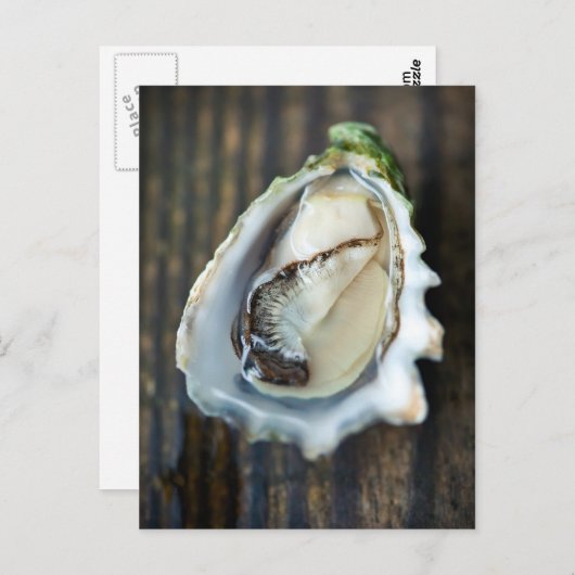 熊本牡蠣はがき ポストカード (正面/裏面)