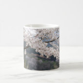 熊本県の桜 コーヒーマグカップ (中央)