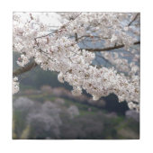 熊本県の桜 タイル (正面)