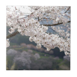 熊本県の桜 タイル