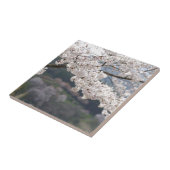 熊本県の桜 タイル (側面)