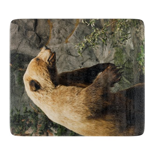 熊誇りを持った カッティングボード (正面)