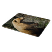 熊誇りを持った カッティングボード (角)