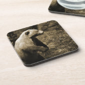 熊誇りを持った コースター (左側)