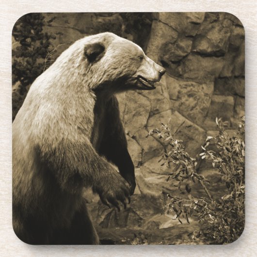 熊誇りを持った コースター (正面)