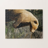 熊誇りを持った ジグソーパズル (横)