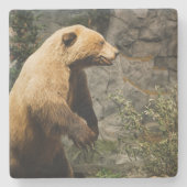 熊誇りを持った ストーンコースター (正面)