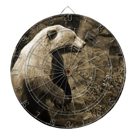 熊誇りを持った ダーツボード (正面)