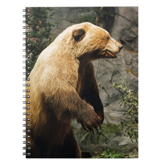 熊誇りを持った ノートブック (正面)
