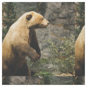 熊誇りを持った ファブリック (クローズアップ)