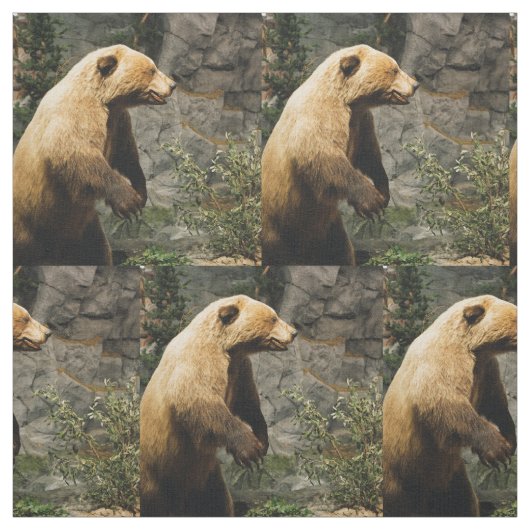 熊誇りを持った ファブリック (見本)