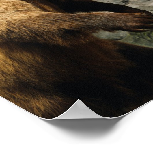 熊誇りを持った ポスター (角)