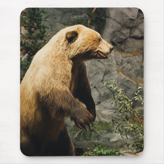 熊誇りを持った マウスパッド (正面)