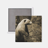 熊誇りを持った マグネット (正面/裏面)