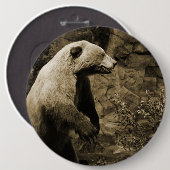 熊誇りを持った 缶バッジ (正面&裏面)