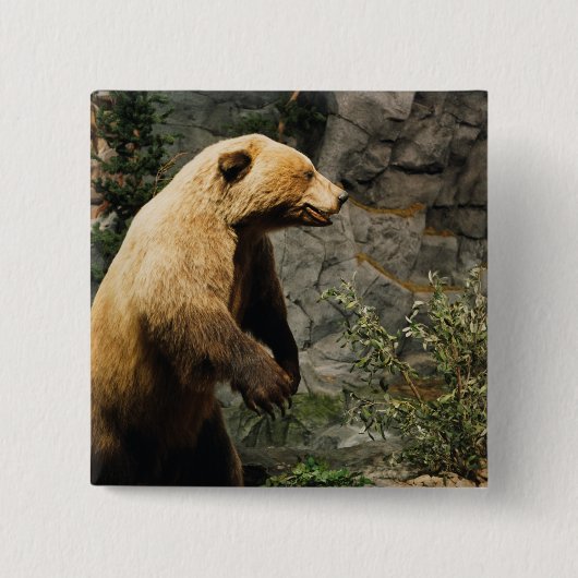 熊誇りを持った 缶バッジ (正面)