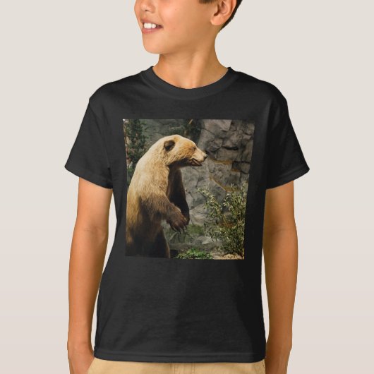 熊誇りを持った Tシャツ (正面)
